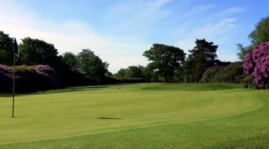 Dorset Golf and Country Club, Dorset - View of Golf green and flag, with circle of trees around