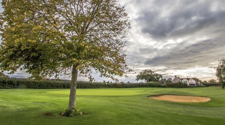 Mendip Spring Golf Club, Somerset, UK - Golf flag and green with a tree and bunker on border