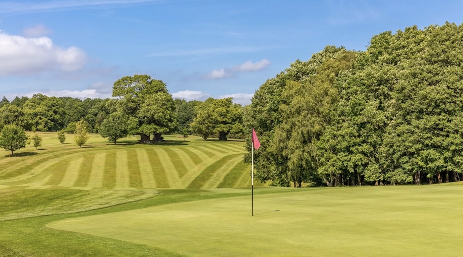 Cowdray Park Golf Club, West Sussex - view of golf course from green looking down tree lined fairway