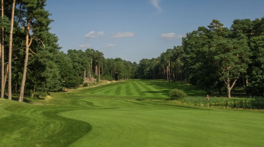 Pine Ridge Golf Centre, Surrey,- View of golf course from behind green looking down tree lined fairway