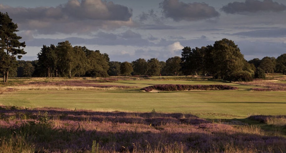 Walton Heath Golf Club, Surrey - landscape view of golf course green and fairway with trees in the backdrop