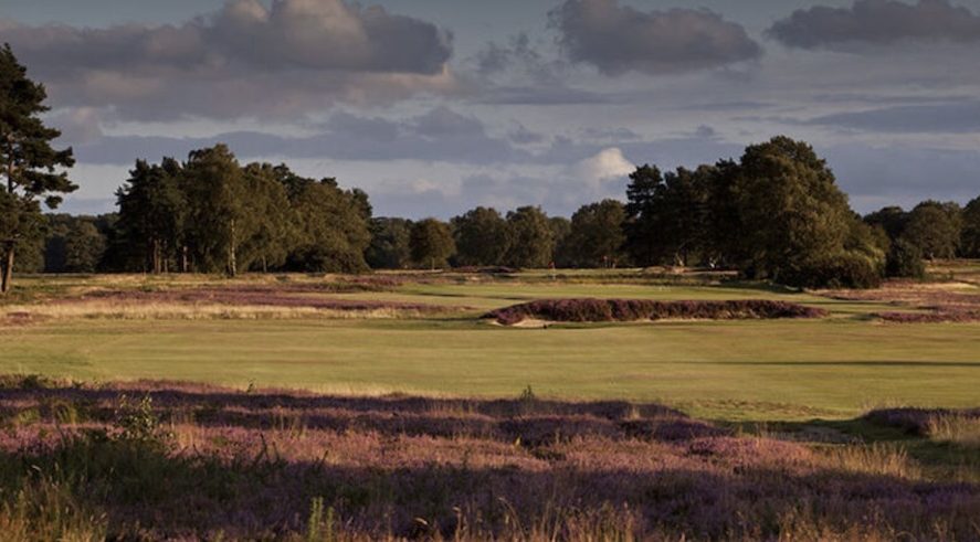Walton Heath Golf Club, Surrey - landscape view of golf course green and fairway with trees in the backdrop